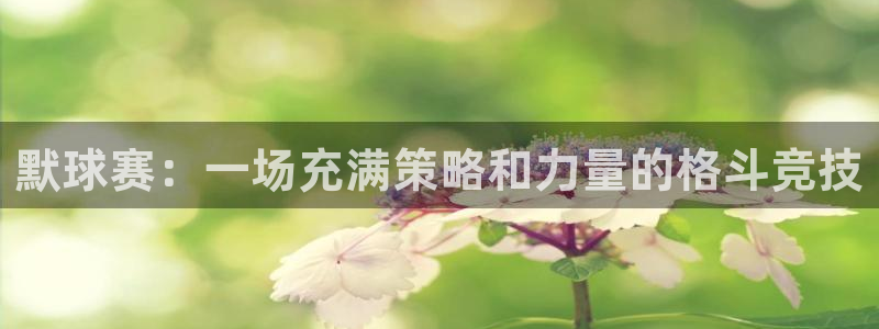 皇冠软件直营