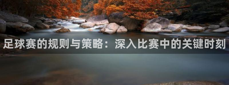 谁有皇冠正规app