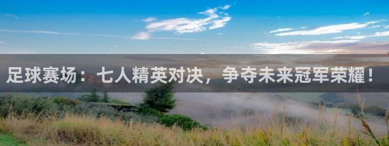 有皇冠的游戏